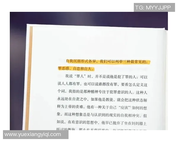 谢什科的传奇人生与影响力探秘，揭示他背后的故事与成就