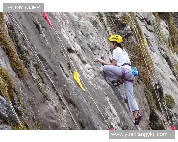 杭州攀岩队状态分析与训练成果探讨聚焦攀岩运动发展新趋势