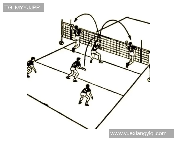 深入分析上海排球队的节奏打法与战术特点